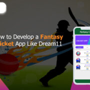 How to develop a fantasy cricket app like Dream11